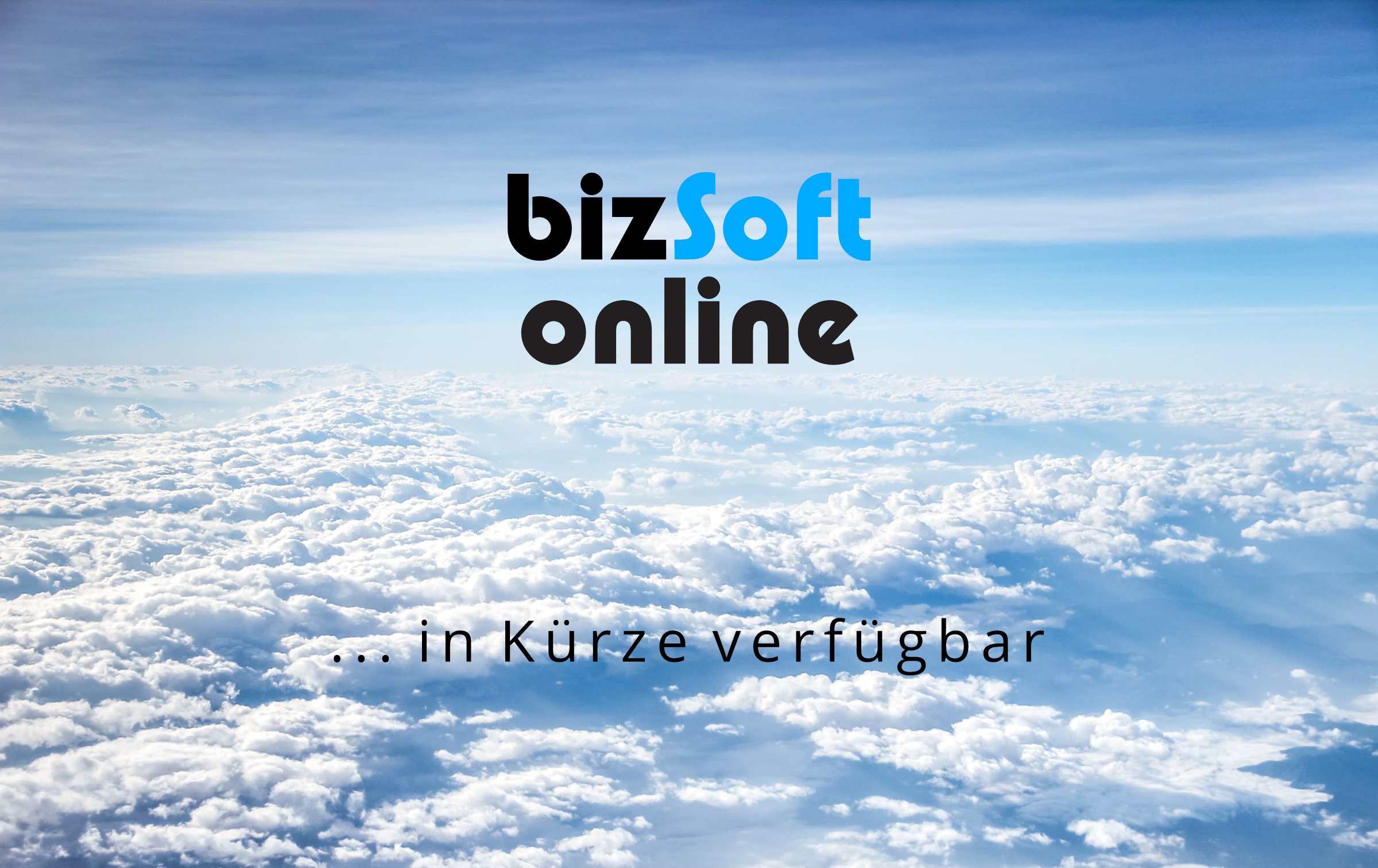 bizSoft-Online