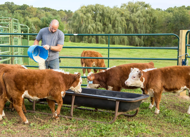 Rechnungsprogramm Landwirtschaft